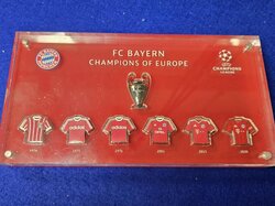 Plakette__FC_Bayern__Champions_of_Europe.JPG