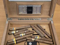 Zigarren_in_Humidor.JPG
