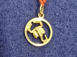  Anhänger_Scorpion__8_K__Gelbgold.JPG