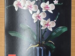  Lego_Orchidee_in_OVP.JPG