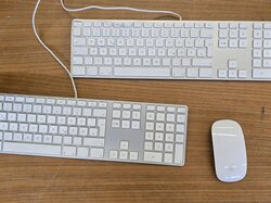  PC-Tastaturen__A1243__und_-Maus__A1296___Apple.JPG