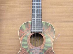  Ukulele__Alvarez__Limited_Edition_Grateful_Dead.JPG