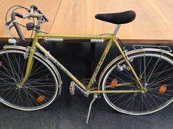  Fahrrad__Geminiani__Special.JPG