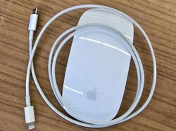  PC-Maus__A1657___Apple.JPG